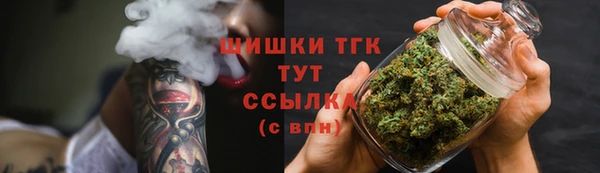 индика Абинск