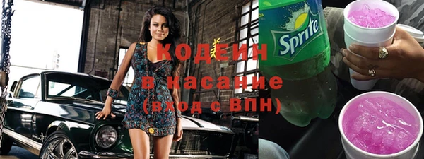 индика Абинск
