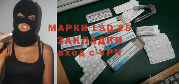 индика Абинск