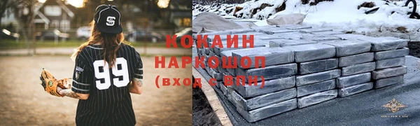 индика Абинск